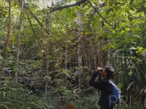 Hutan Pendidikan, Pemajuan Ilmu Pengetahuan dan Pelestarian Lingkungan